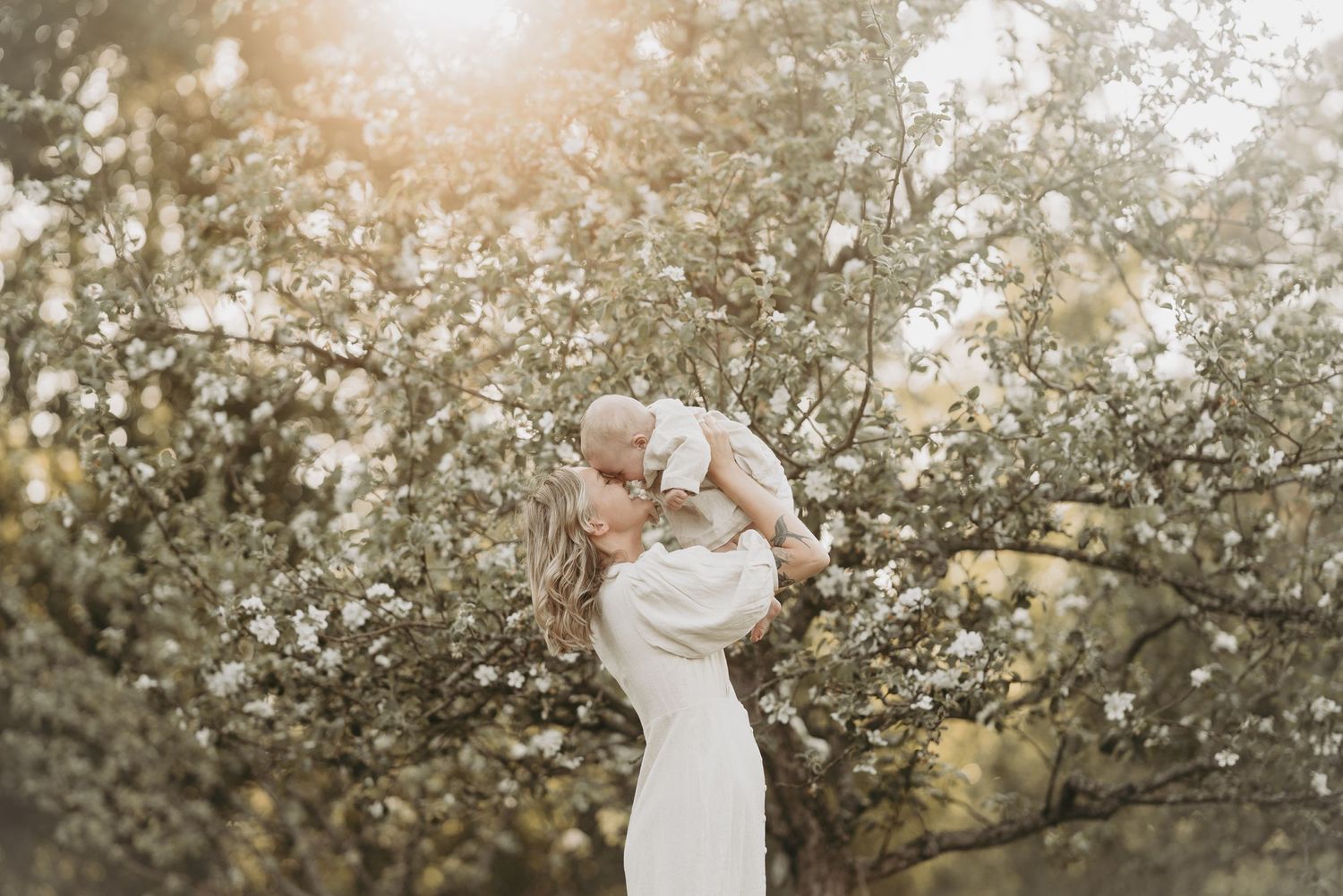 A tender moment between parent and baby backlit by golden sunlight filtering through blooming spring trees.