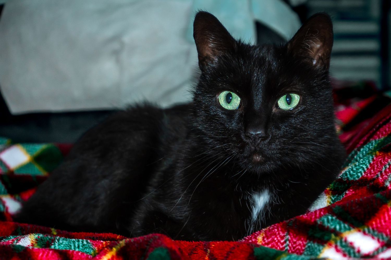 Salem