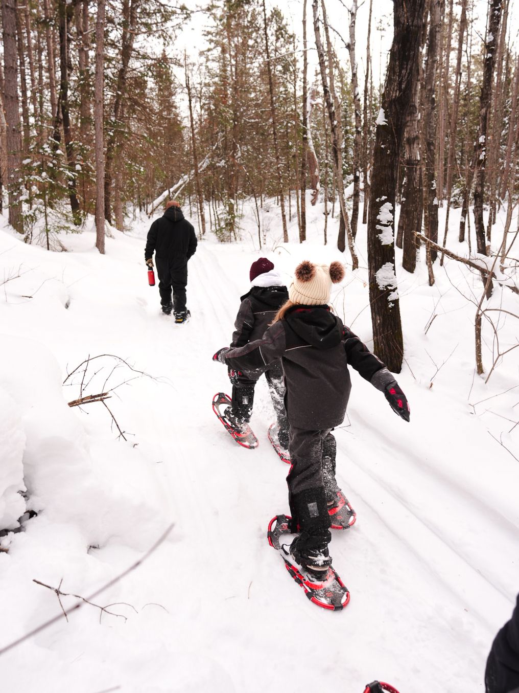 People snowshoeing through a snowy forest trail in winter.