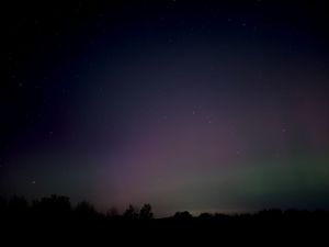 Silhouetted treeline under a dark sky showing hints of aurora borealis colors.