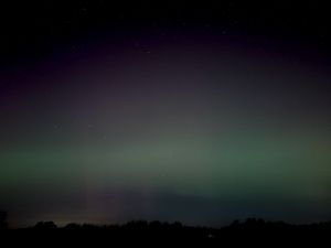 Green aurora borealis glow emerging above a dark treeline silhouette.