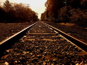 Railroad tracks covered in fallen leaves extend into the distance at sunset.