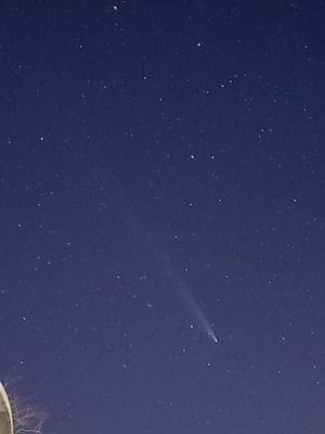 Stars twinkle in a deep blue night sky with tree silhouettes below.