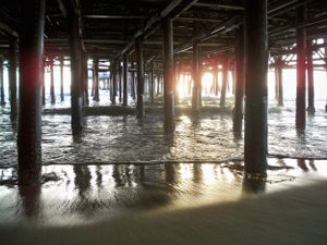 Sunlight streams through wooden pier pilings reflecting on wet sand and ocean waves at low tide.