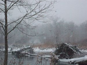 Bare winter trees and fallen logs surround a misty pond covered in light snow.