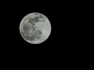 Sequence showing different phases of a bright full moon in the night sky.