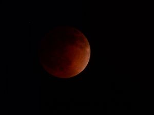 Progressive stages of a lunar eclipse turning the moon from white to blood red.