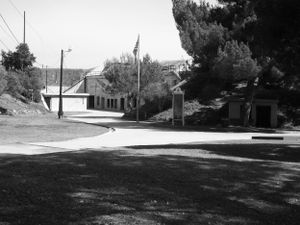 Black and white panoramic view of a quiet suburban street with trees.