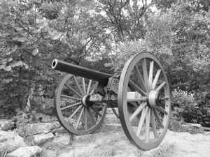 Row of antique cannons positioned among trees and foliage.