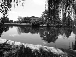 Black and white panorama of a serene lake with weeping willow trees along the shoreline.