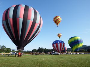 Hot air balloons in various colors and patterns preparing for takeoff in an open field.