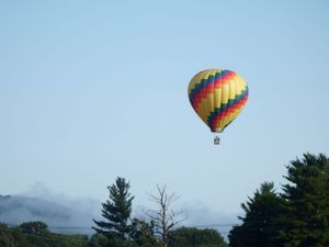 Rainbow-colored hot air balloon rises above pine trees against a light blue sky.