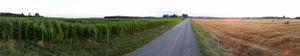 Panoramic view of green agricultural fields stretching to distant horizon.