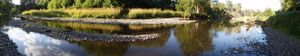 Panoramic view of tranquil pond reflecting surrounding trees and vegetation.