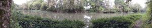 Panoramic view of a tree-lined waterway with dense foliage along its banks.