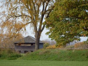 Rustic wooden structure nestled among fall-colored trees on a grassy hillside.