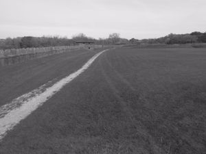 Black and white photograph of a long dirt path cutting through an open grassy field.