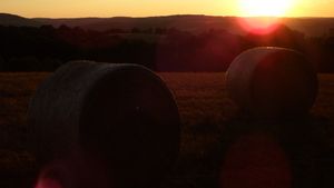 Golden sun setting behind rolling hills creating a warm silhouette landscape.