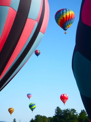 Colorful hot air balloons float against a bright blue sky above a treeline during a balloon festival.