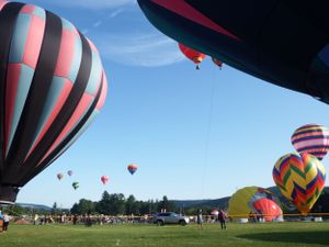 Hot air balloons of various colors and patterns prepare for takeoff in a grassy field with spectators.