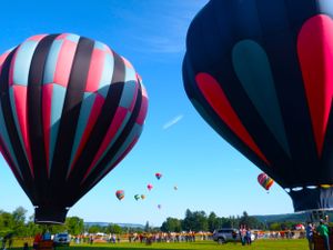 Large hot air balloons in dark colors line up on a field with spectators gathered for a festival launch.