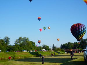 Hot air balloons taking off from a green field with trees in the background.
