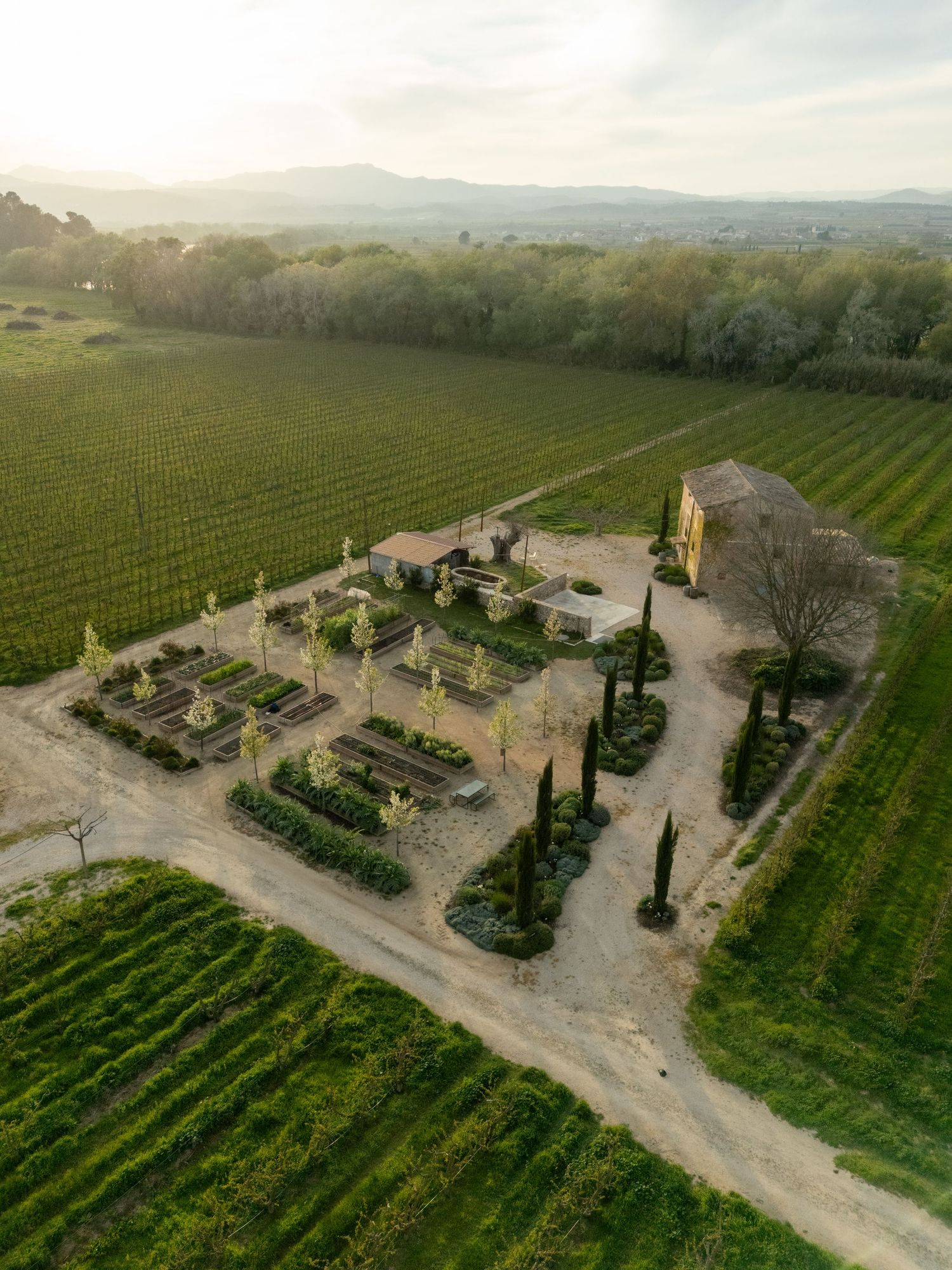 Aerial view of a formal garden surrounded by lush vineyards and cypress trees, with a stone building and mountain backdrop.