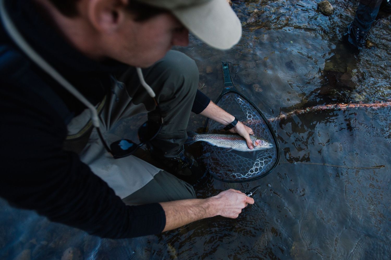 Angler kneeling by a river holding a fresh catch in a fishing net during a fly fishing trip outdoors.