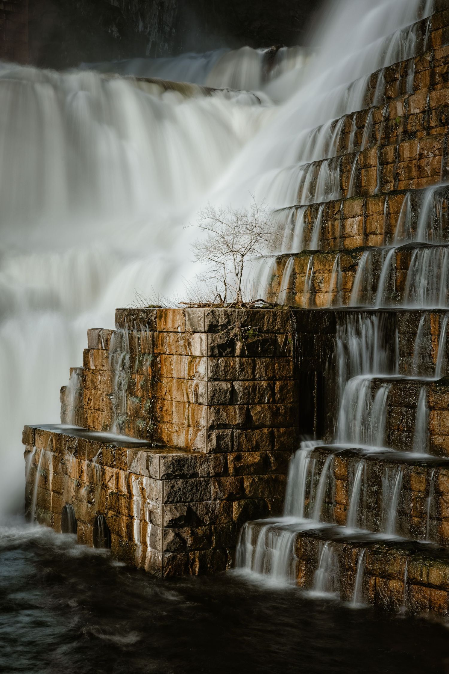 Cascading waterfall flows over golden-brown layered rock steps with a lone bare tree growing from the stone ledge.