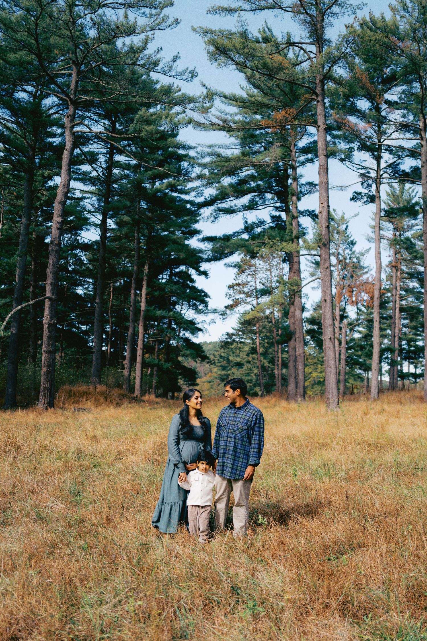 A family of three stands in a golden meadow surrounded by tall pine trees during an outdoor maternity photo session.