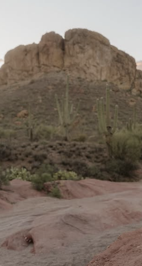 A mother crouches with two young girls in cowboy boots at sunset in the Arizona desert with saguaro cacti and mountains.