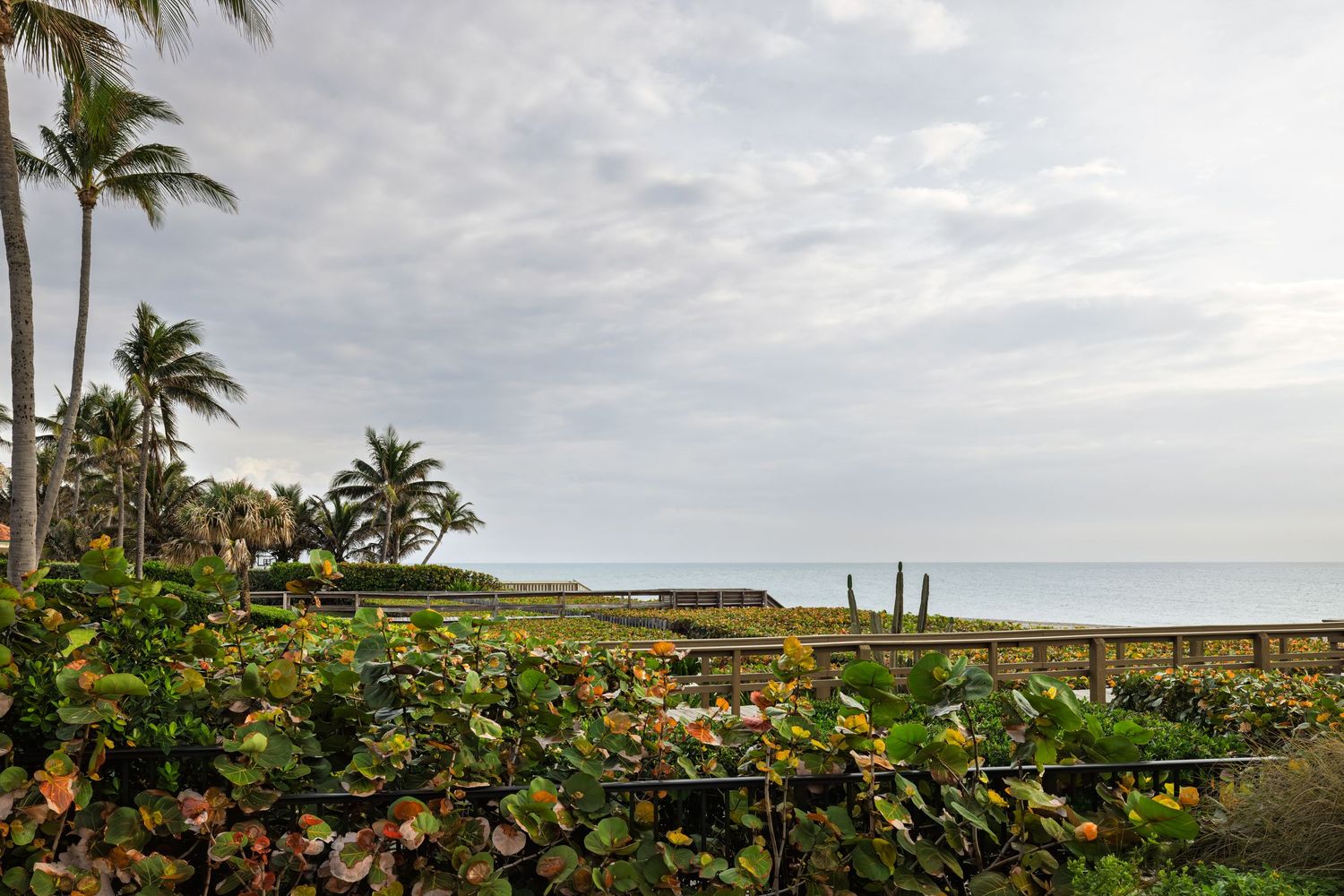 Tropical oceanfront view with lush green foliage, palm trees, and wooden boardwalk under cloudy sky.
