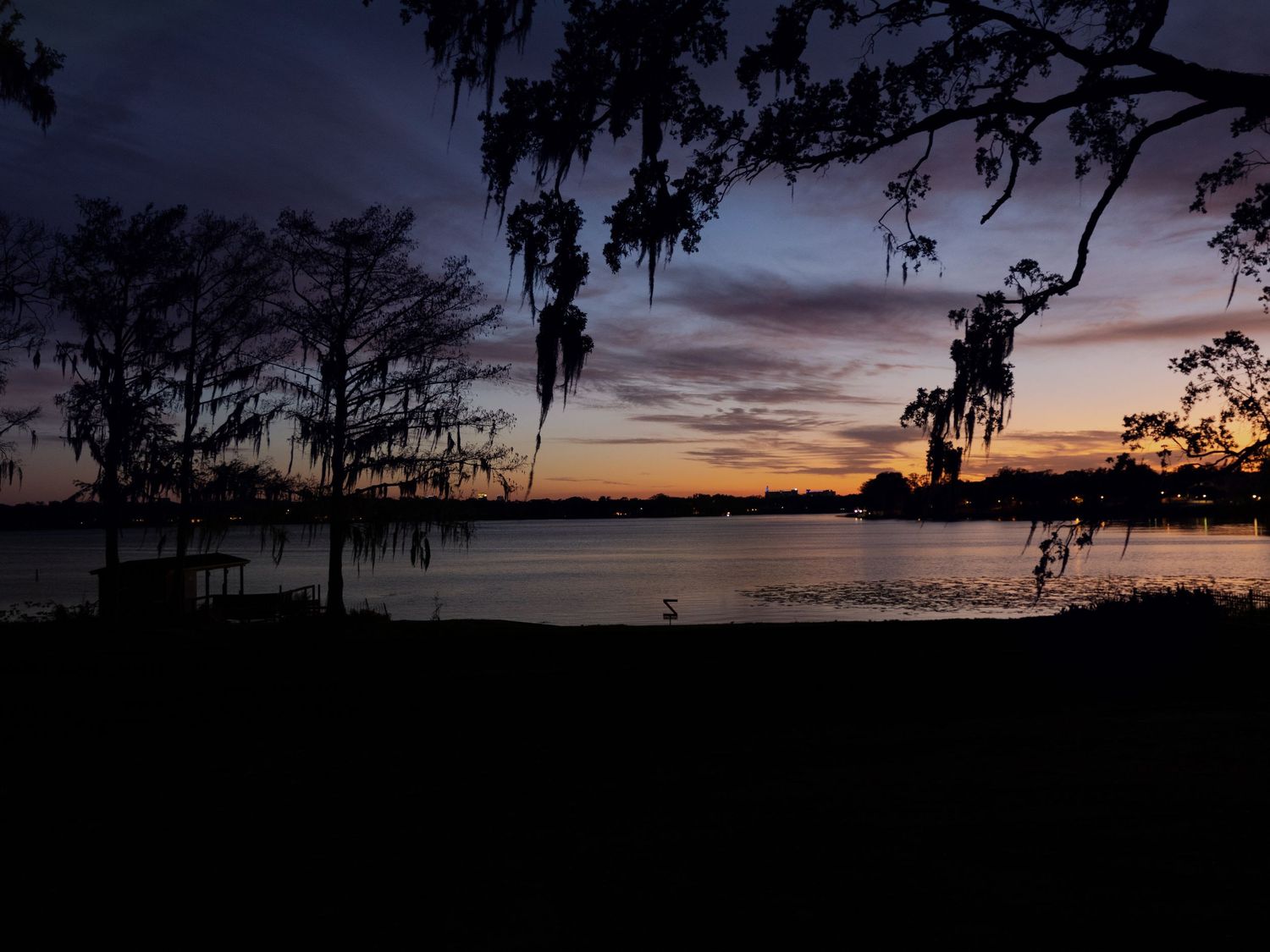 Dramatic sunset silhouette of Spanish moss-draped trees over calm lake with purple and orange sky.