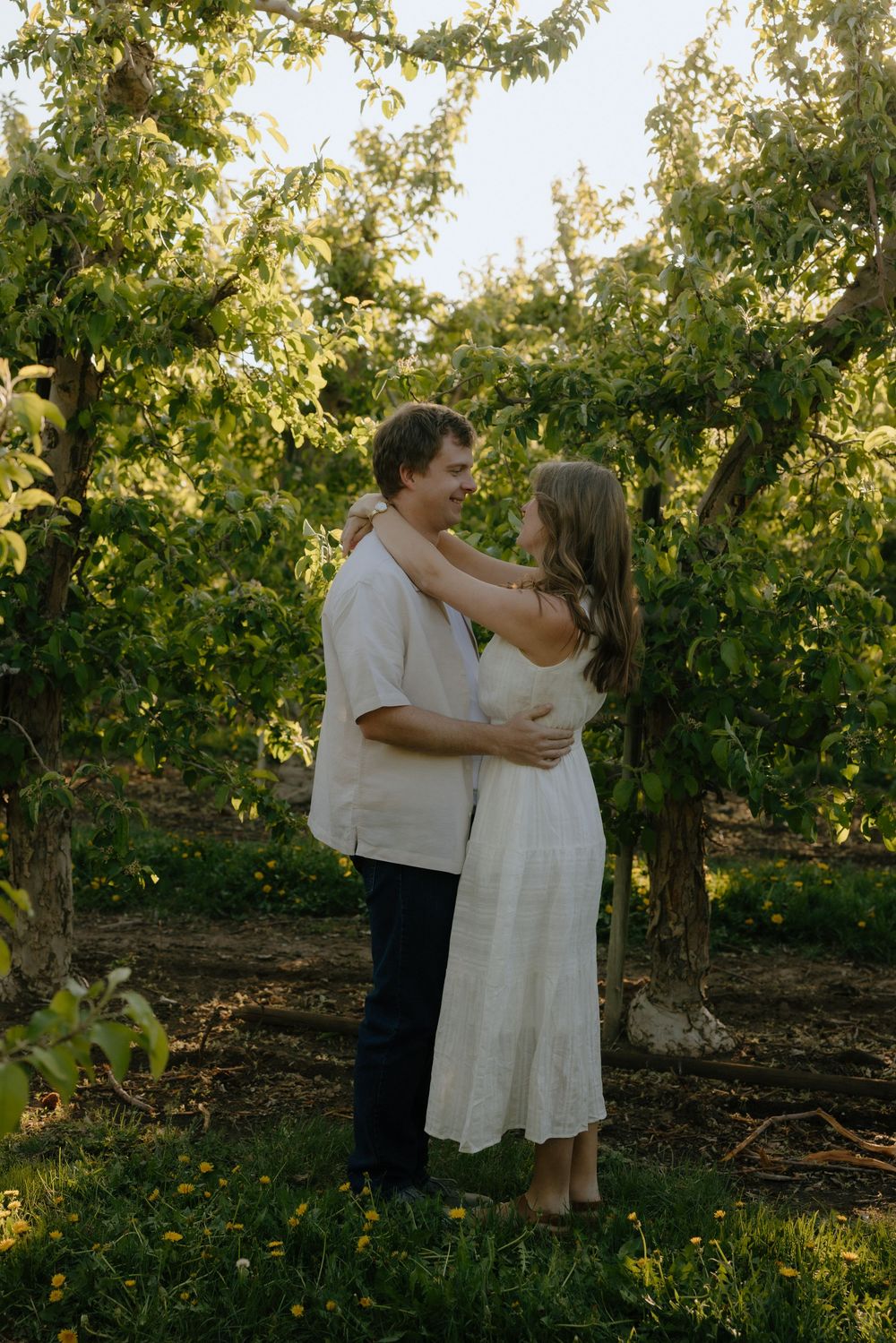 Couple embracing and gazing at each other in a lush green orchard during golden hour.