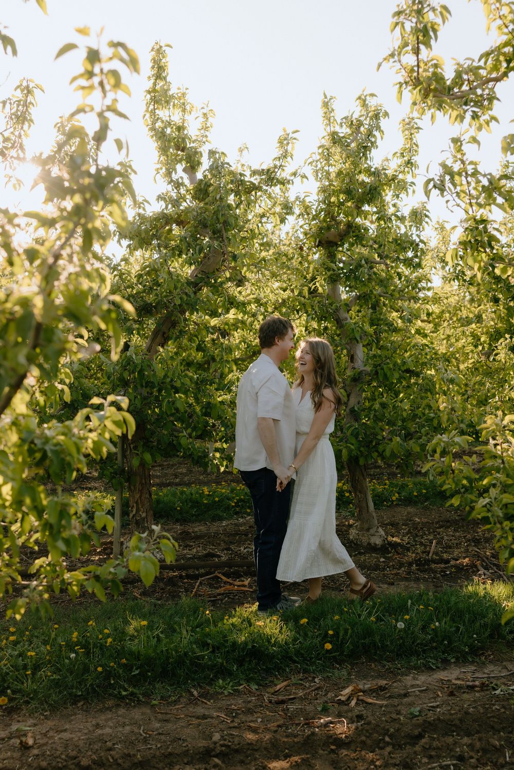 Couple holding hands and gazing at each other in a sunlit orchard with lush green trees.
