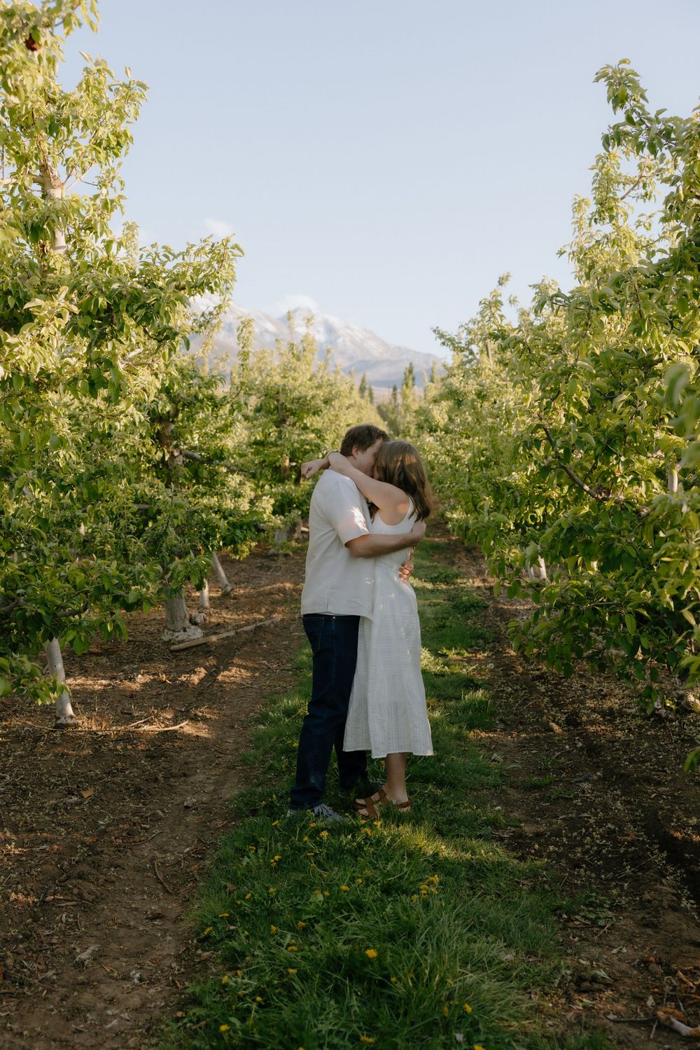 Couple embracing tenderly in an orchard pathway with a mountain peak in the background.
