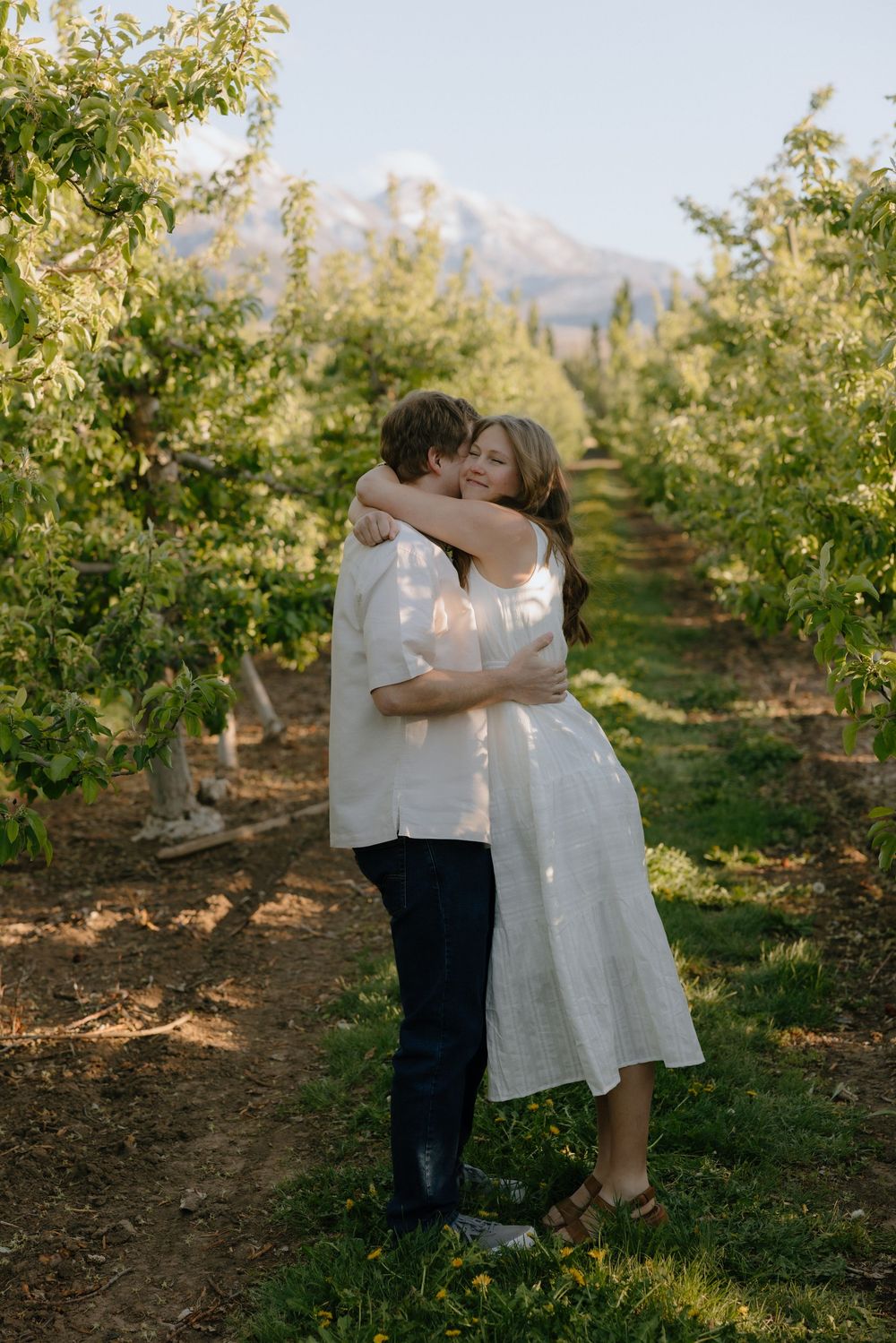 Couple sharing a tender hug among rows of orchard trees with a snow-capped mountain backdrop.