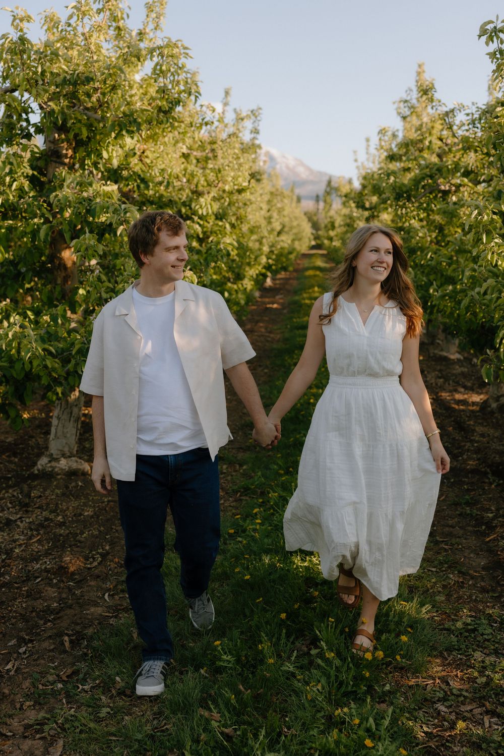 Couple holding hands walking through green orchard rows with mountain backdrop in golden hour light.