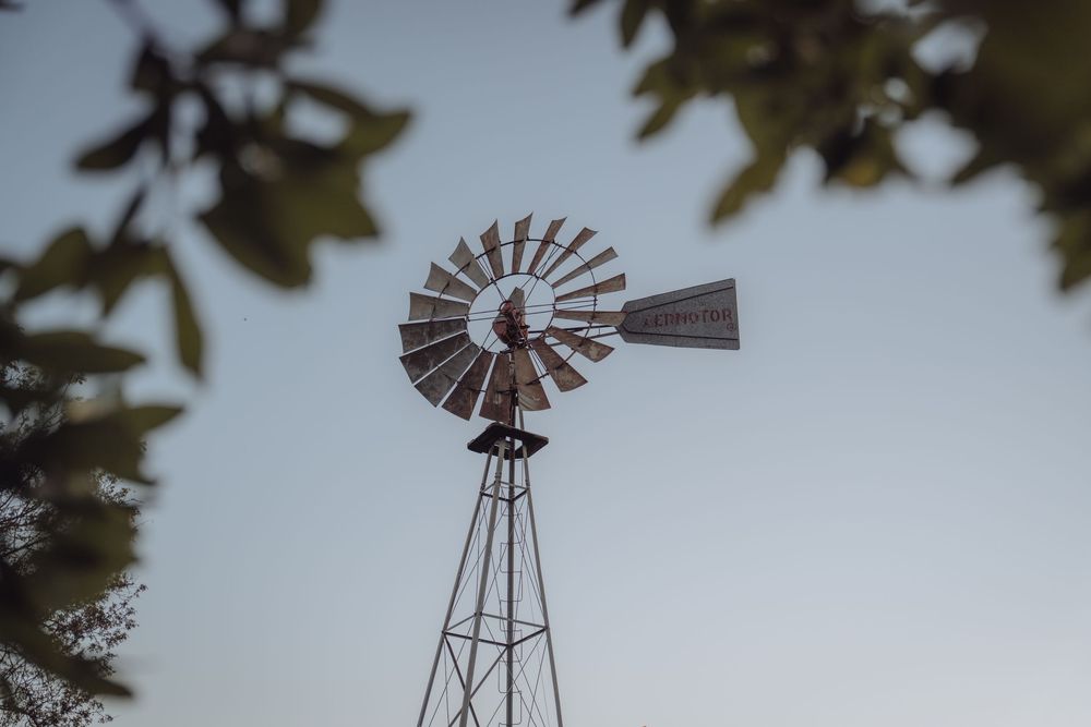 Vintage metal windmill silhouetted against clear sky framed by green tree leaves at rustic wedding venue.