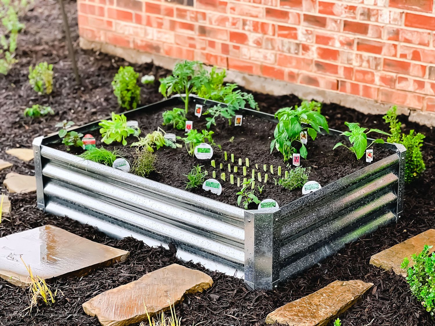 Small galvanized raised garden bed filled with herbs and greens, surrounded by larger metal garden beds on a landscaped patio.