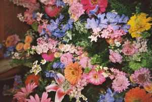 Colorful floral arrangements featuring pink, yellow, purple and orange blooms displayed in a decorative setting.