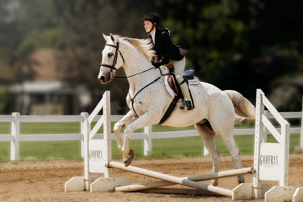 A rider in black attire jumps a white horse over white rails during an equestrian competition.