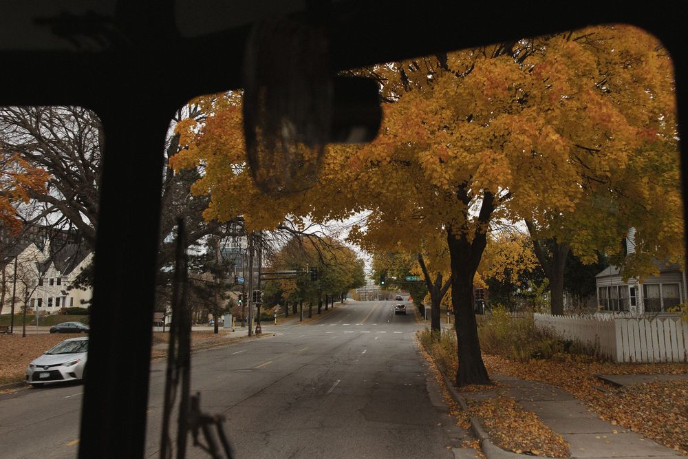 Autumn trees line a residential street with golden leaves and parked cars.