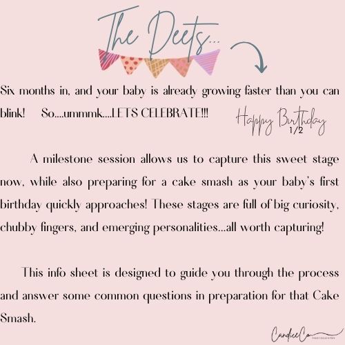 New Castle Indiana cake smash photographer first birthday session
Central Indiana cake smash session first birthday photography
Hamilton Cou