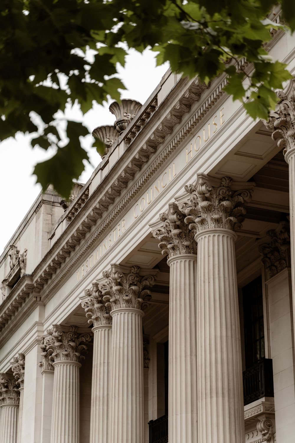 Classical Corinthian columns line the exterior of a grand historic building with ornate architectural details and leafy branches above.