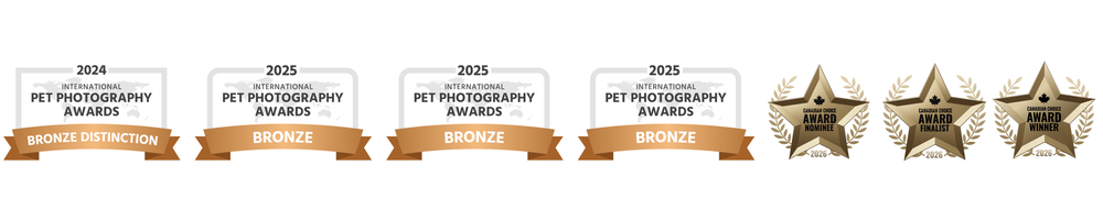 awards