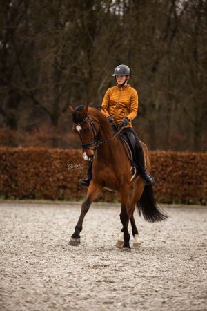Gepassioneerde dieren en gezinsfotograaf