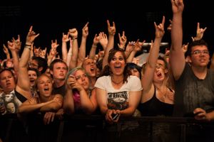 Enthusiastic crowd at rock concert with hands raised making rock gestures.