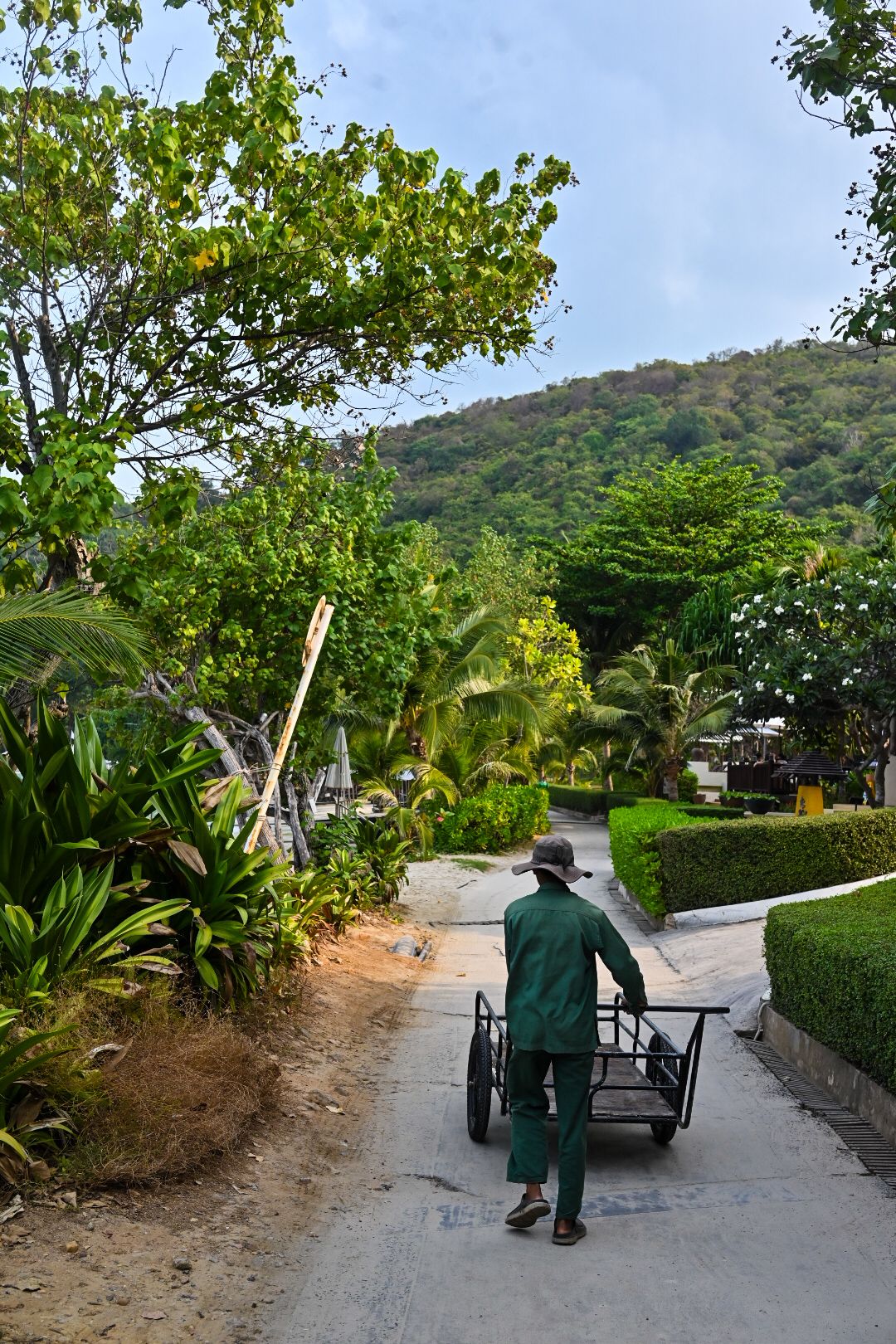 Person pushing cart on garden path surrounded by lush tropical vegetation and hills.