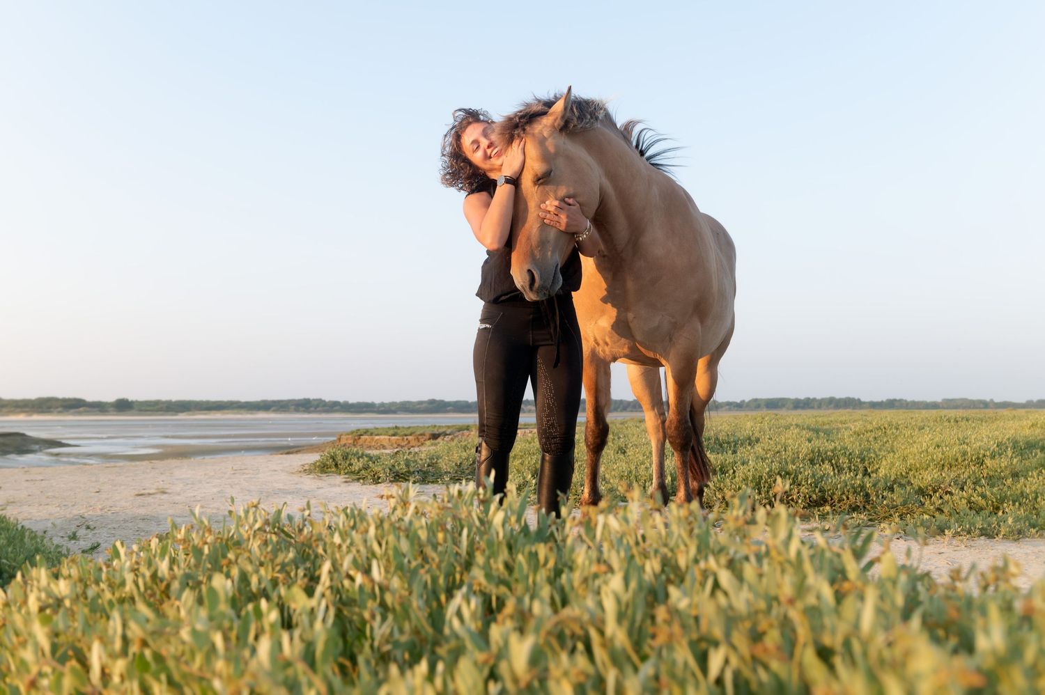 A silhouetted horseback rider rides along a serene beach at sunset.